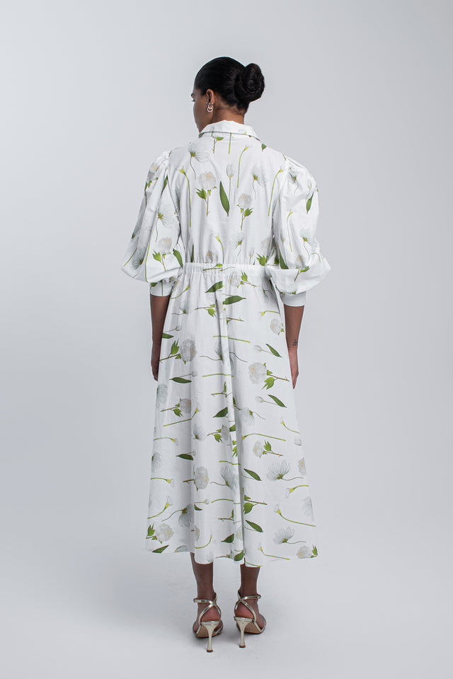 Cotton Fleurs Blanches Dress